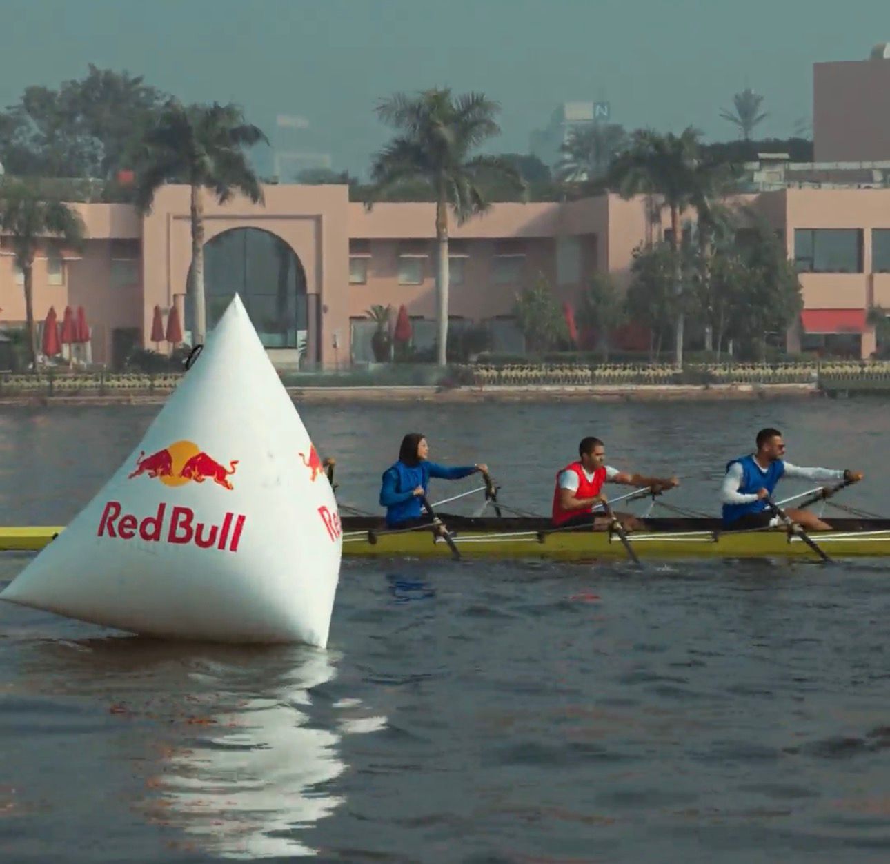 Phasellus Eu Diam At Arcu Laoreet Elementum At Id Augue