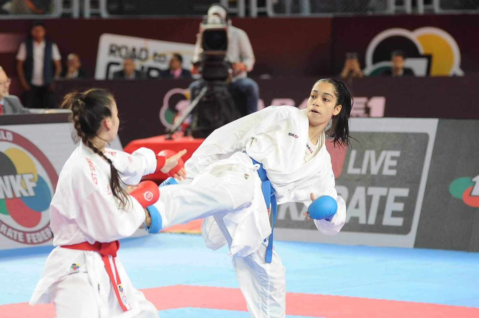 Phasellus Eu Diam At Arcu Laoreet Elementum At Id Augue