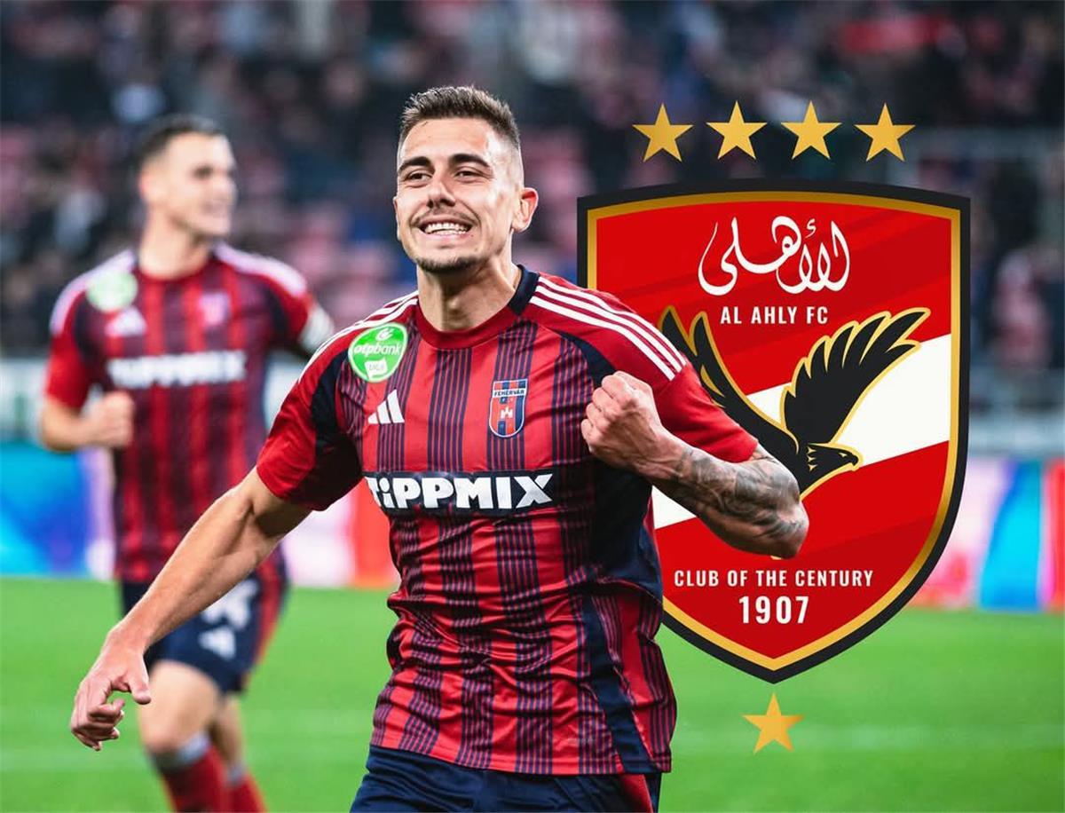 Phasellus Eu Diam At Arcu Laoreet Elementum At Id Augue