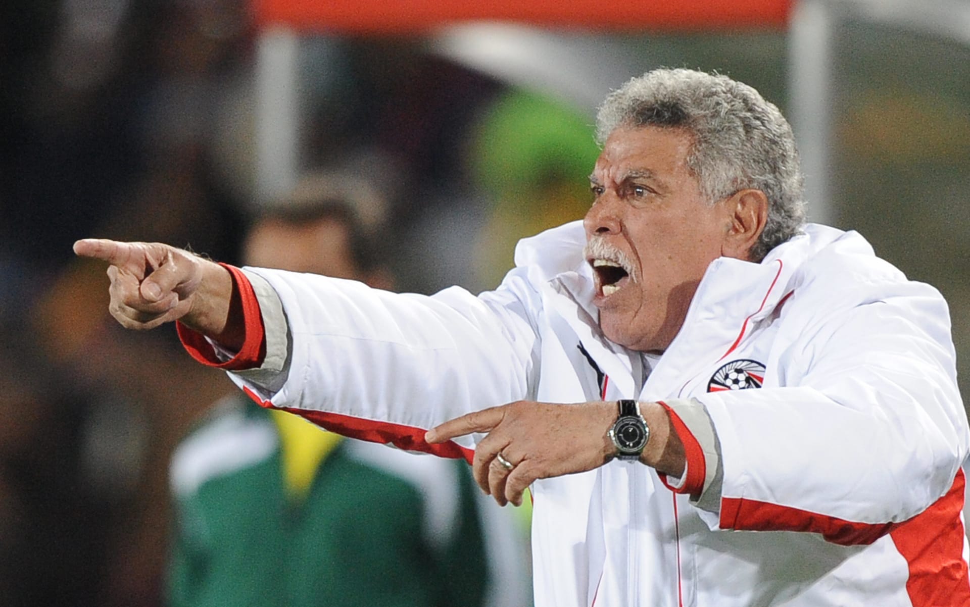 Phasellus Eu Diam At Arcu Laoreet Elementum At Id Augue