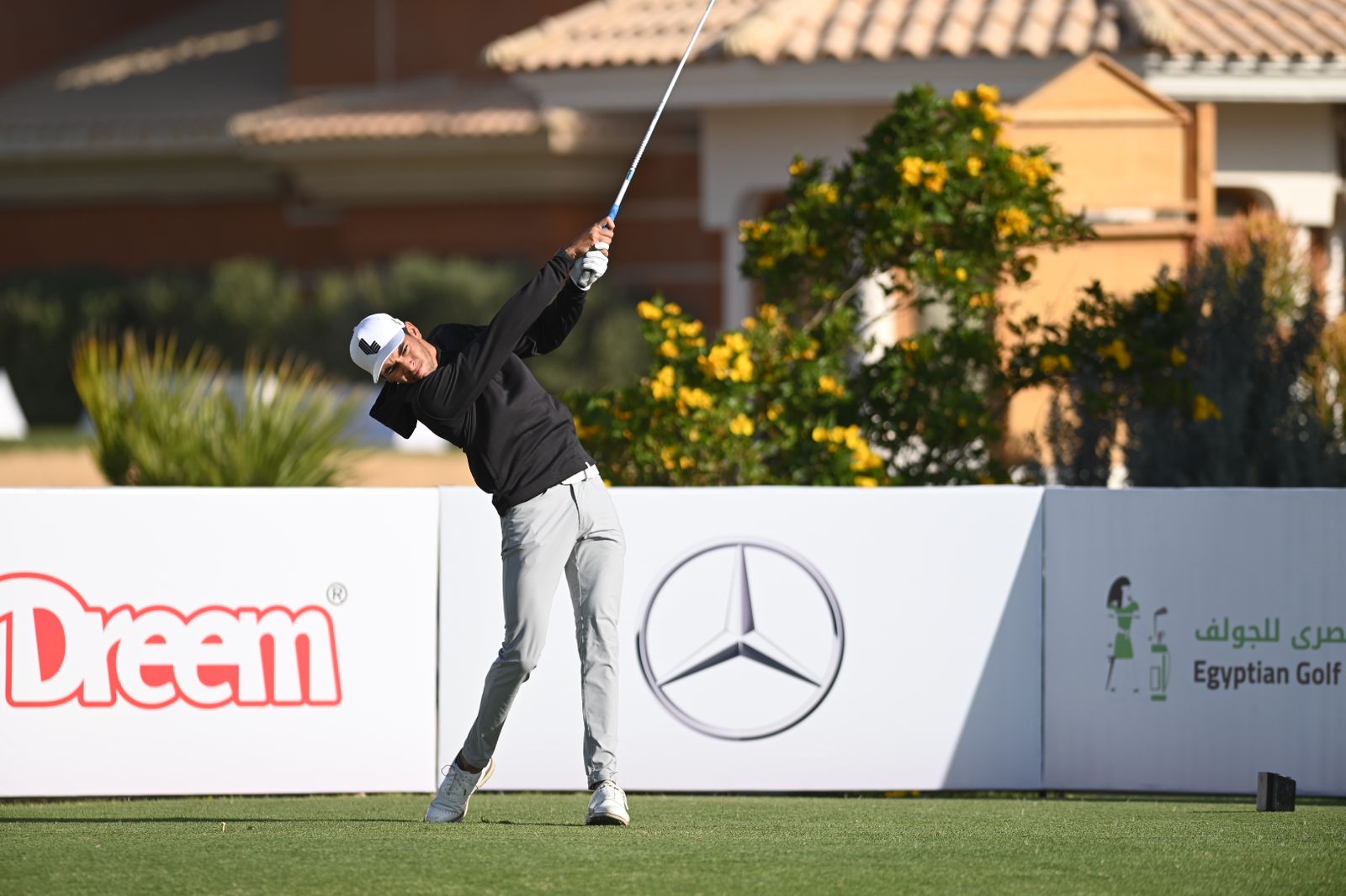 Phasellus Eu Diam At Arcu Laoreet Elementum At Id Augue