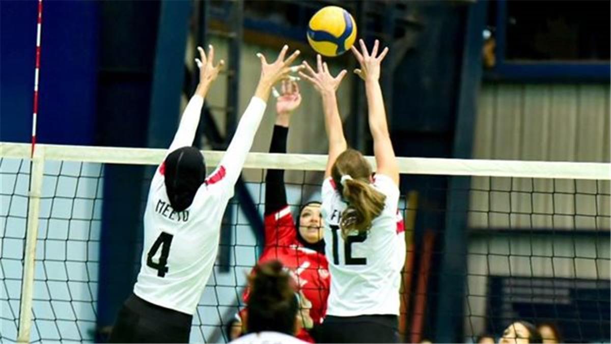 Phasellus Eu Diam At Arcu Laoreet Elementum At Id Augue